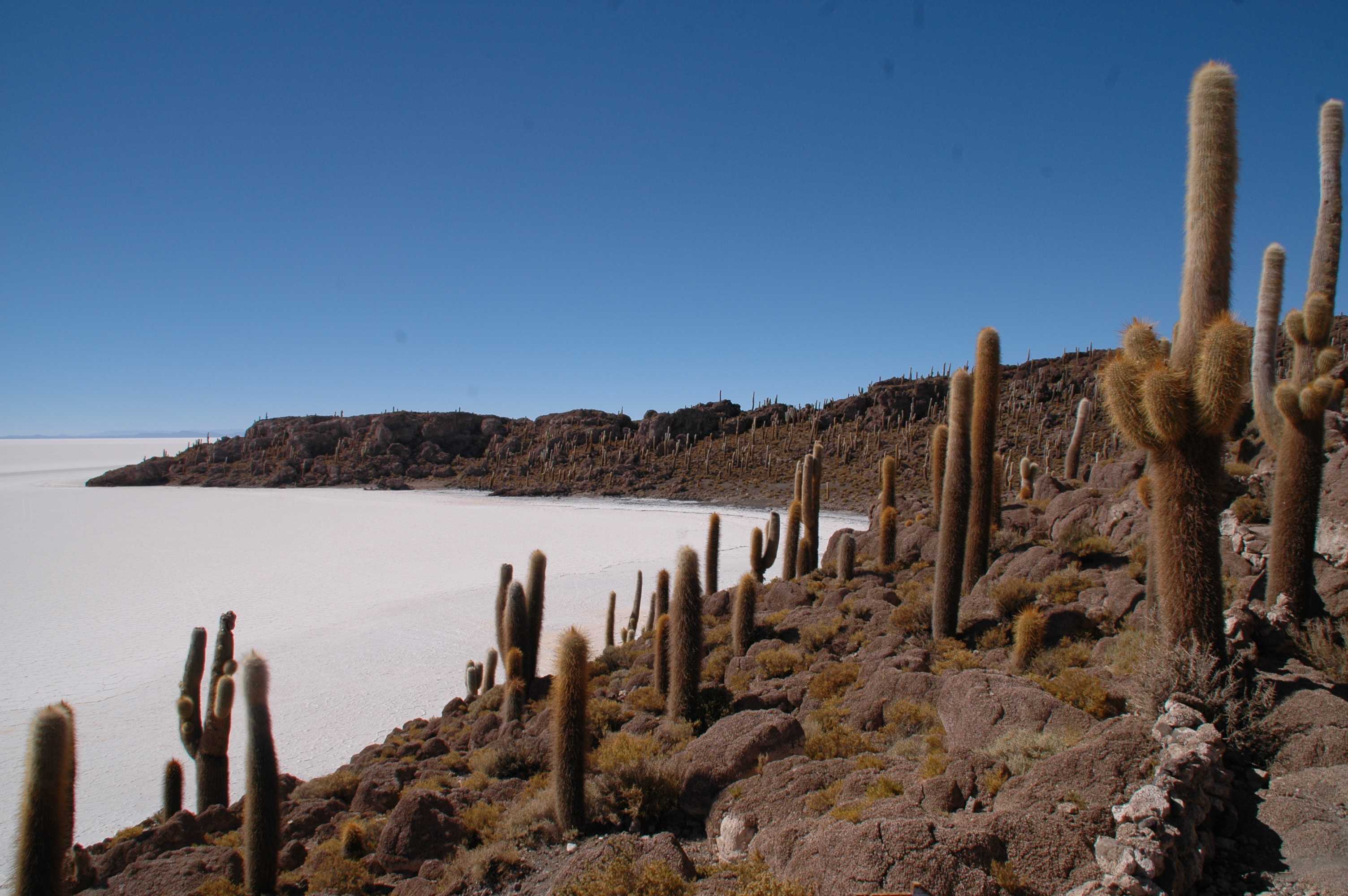 Circuit BOLIVIE & PEROU